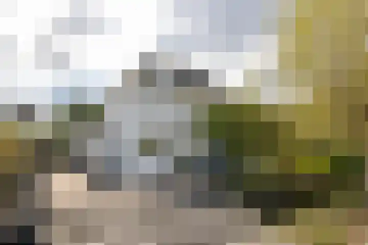 's-Gravenweg 551 Rotterdam thumbnail 5