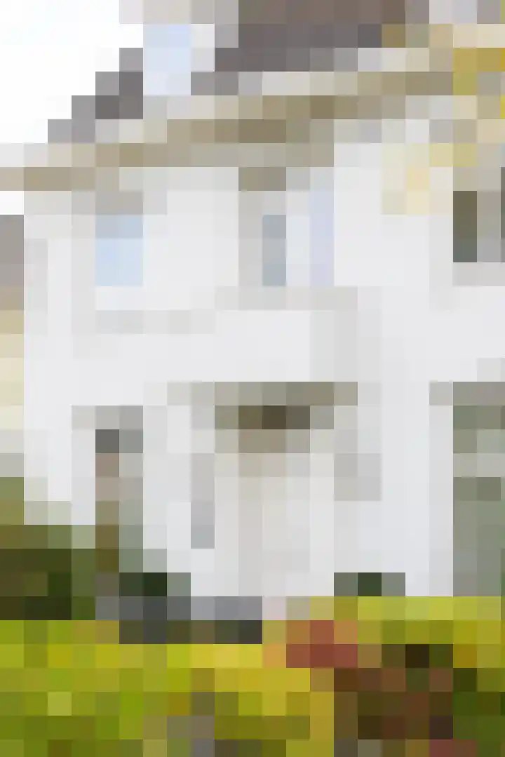 's-Gravenweg 551 Rotterdam thumbnail 6