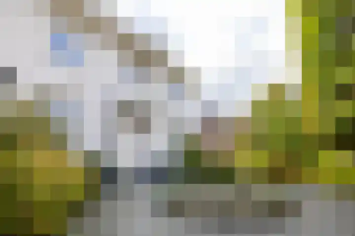 's-Gravenweg 551 Rotterdam thumbnail 7