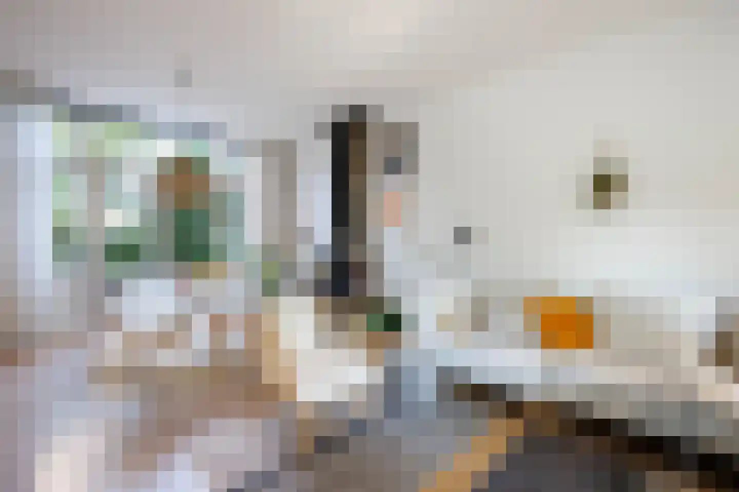 's-Gravenweg 58 Nieuwerkerk aan den IJssel thumbnail 12