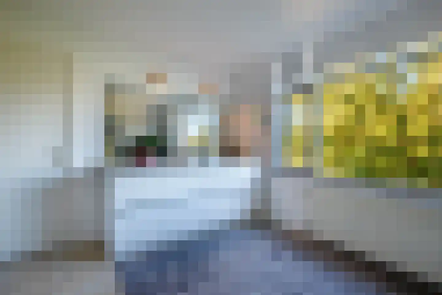 's-Gravenweg 58 Nieuwerkerk aan den IJssel thumbnail 31