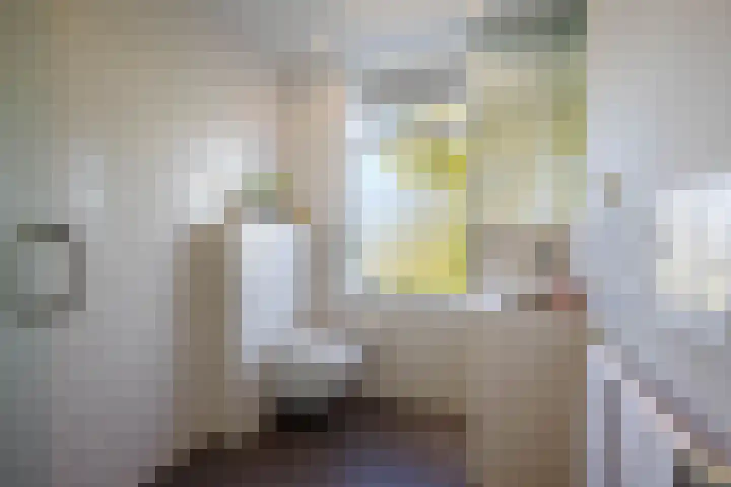 's-Gravenweg 58 Nieuwerkerk aan den IJssel thumbnail 33