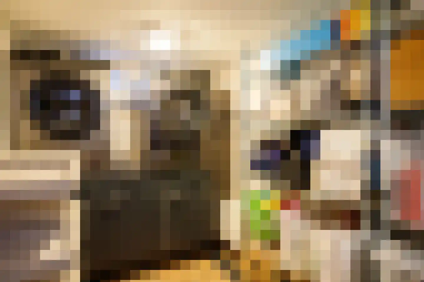 's-Gravenweg 58 Nieuwerkerk aan den IJssel thumbnail 36