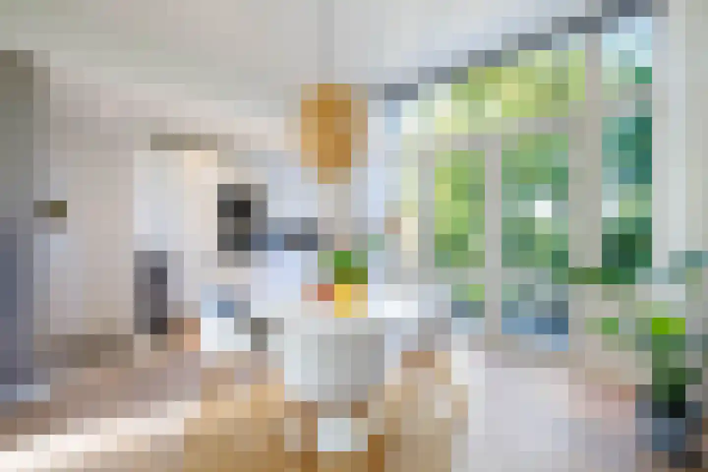 's-Gravenweg 58 Nieuwerkerk aan den IJssel thumbnail 4