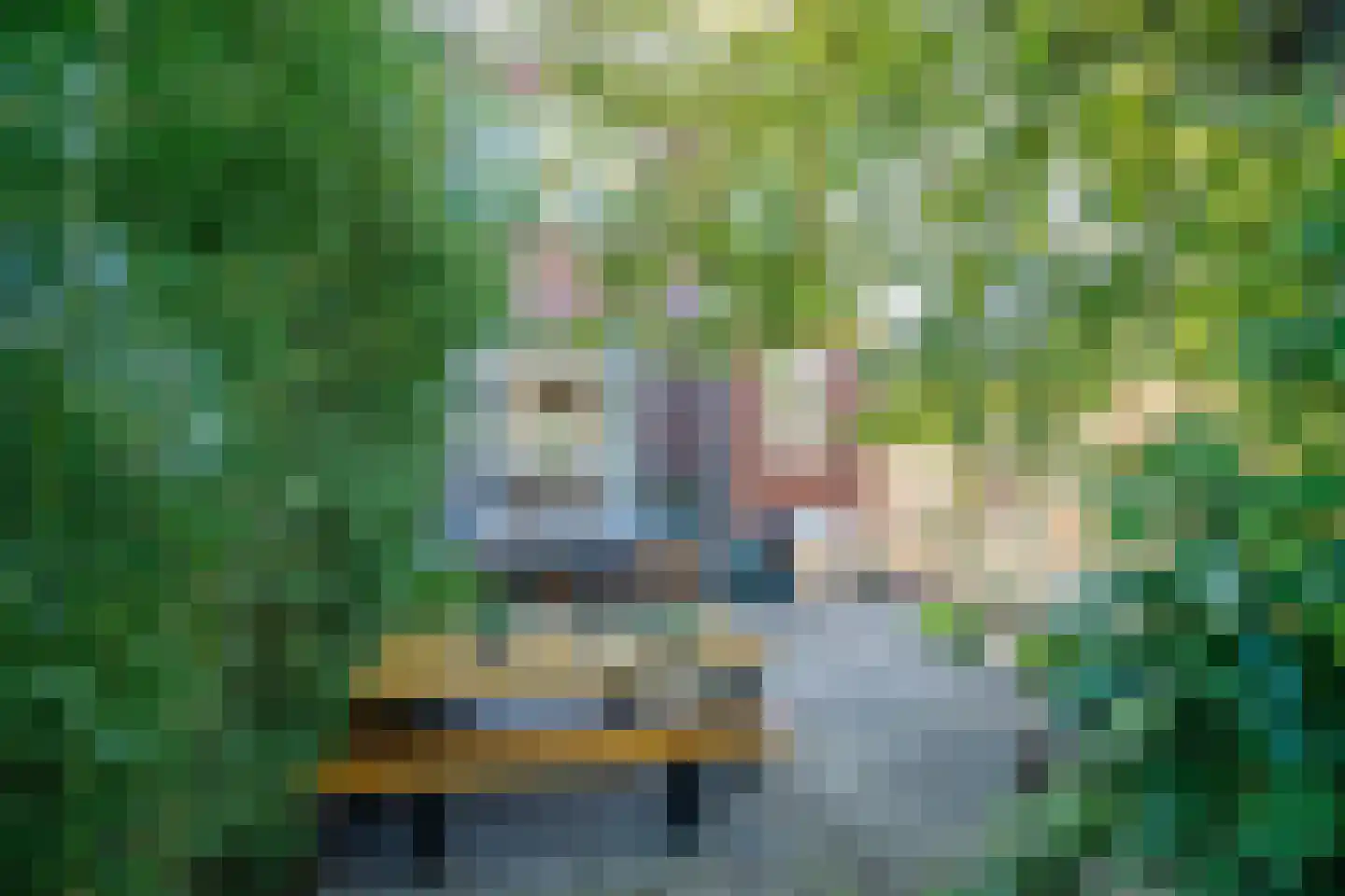 's-Gravenweg 58 Nieuwerkerk aan den IJssel thumbnail 6