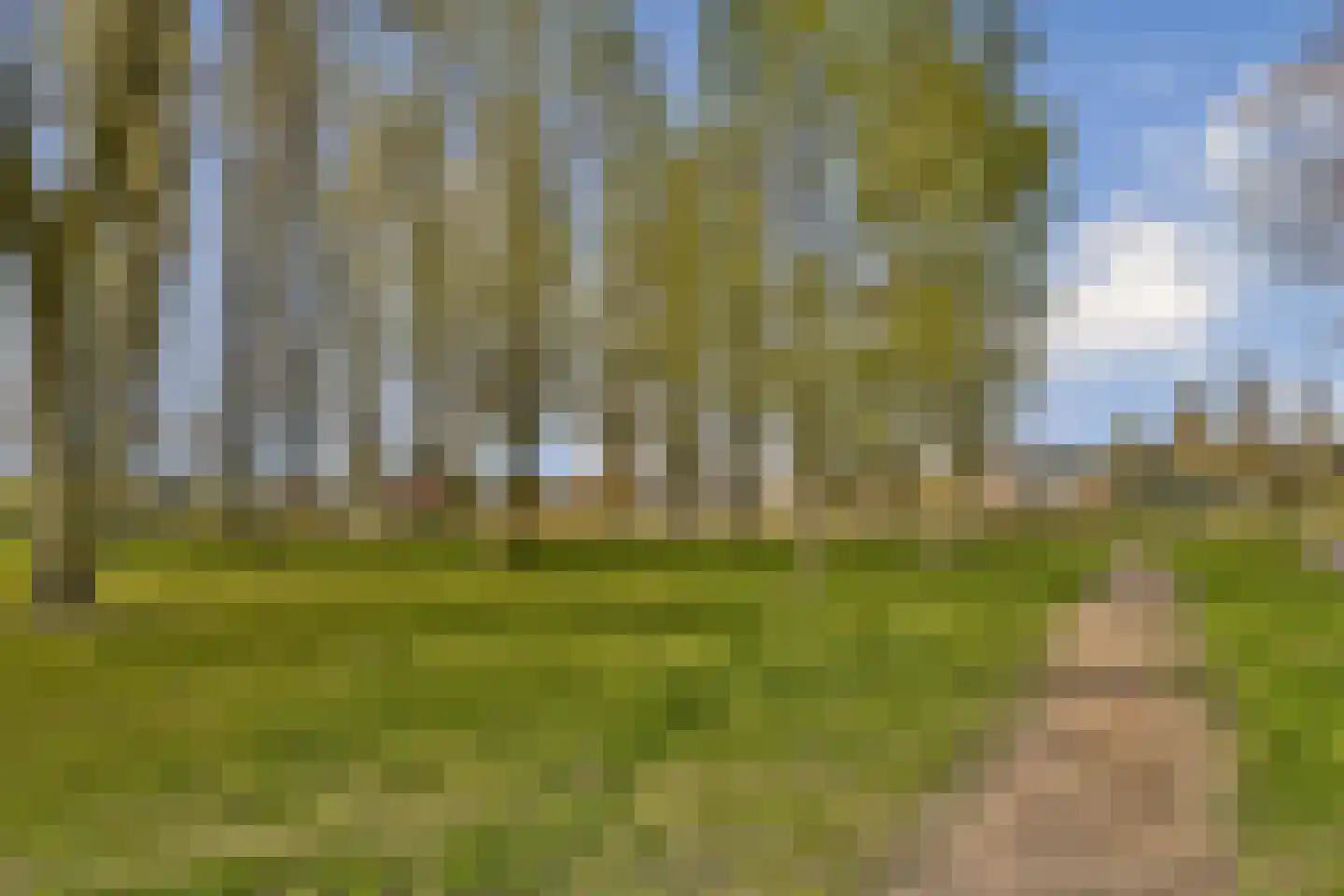's-Gravenweg 611 B Rotterdam thumbnail 27