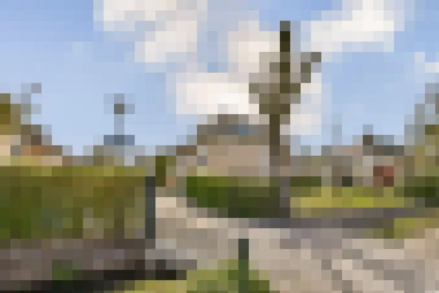 's-Gravenweg 611 B Rotterdam thumbnail 6