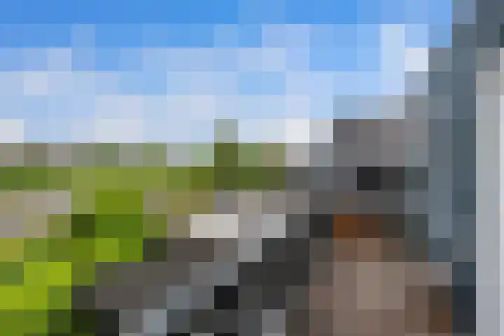 's-Gravenweg 64 Nieuwerkerk aan den IJssel thumbnail 13