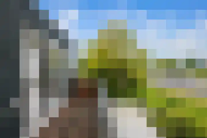 's-Gravenweg 64 Nieuwerkerk aan den IJssel thumbnail 14