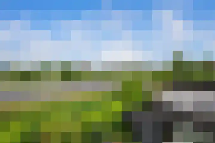 's-Gravenweg 64 Nieuwerkerk aan den IJssel thumbnail 15