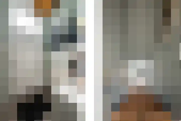 's-Gravenweg 64 Nieuwerkerk aan den IJssel thumbnail 20