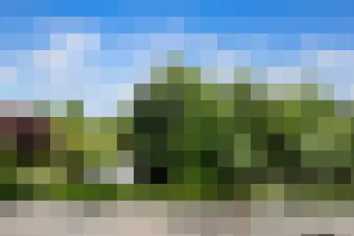 's-Gravenweg 64 Nieuwerkerk aan den IJssel thumbnail 23