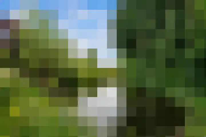's-Gravenweg 64 Nieuwerkerk aan den IJssel thumbnail 24