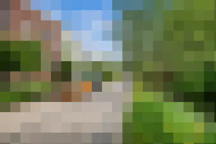 's-Gravenweg 64 Nieuwerkerk aan den IJssel thumbnail 26