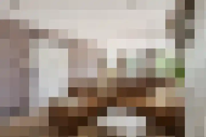 's-Gravenweg 64 Nieuwerkerk aan den IJssel thumbnail 4