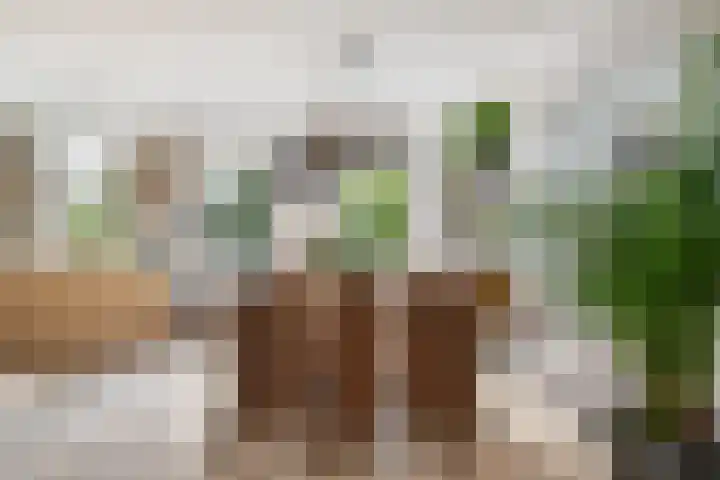 's-Gravenweg 64 Nieuwerkerk aan den IJssel thumbnail 5