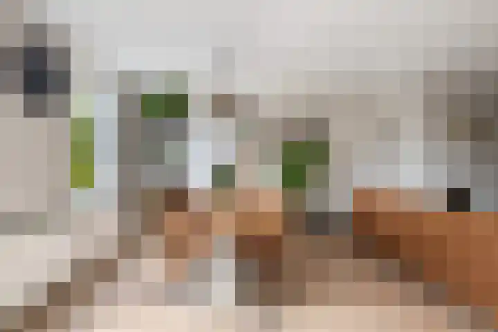 's-Gravenweg 64 Nieuwerkerk aan den IJssel thumbnail 6
