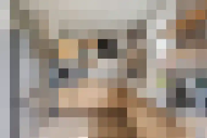 's-Gravenweg 64 Nieuwerkerk aan den IJssel thumbnail 8