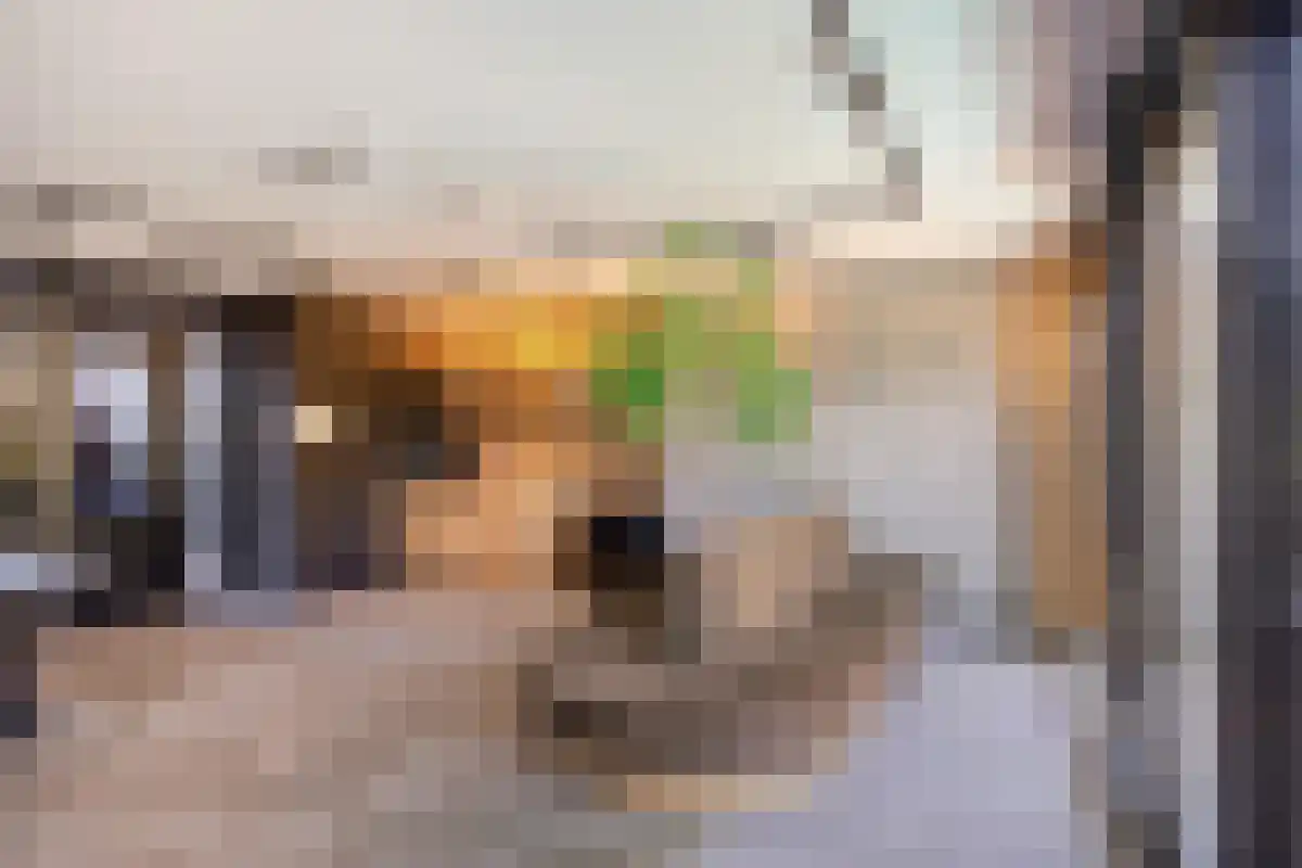 's-Gravenweg 661 Rotterdam thumbnail 5