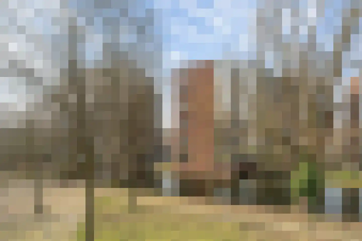 's-Gravenweg 665 A Rotterdam thumbnail 13