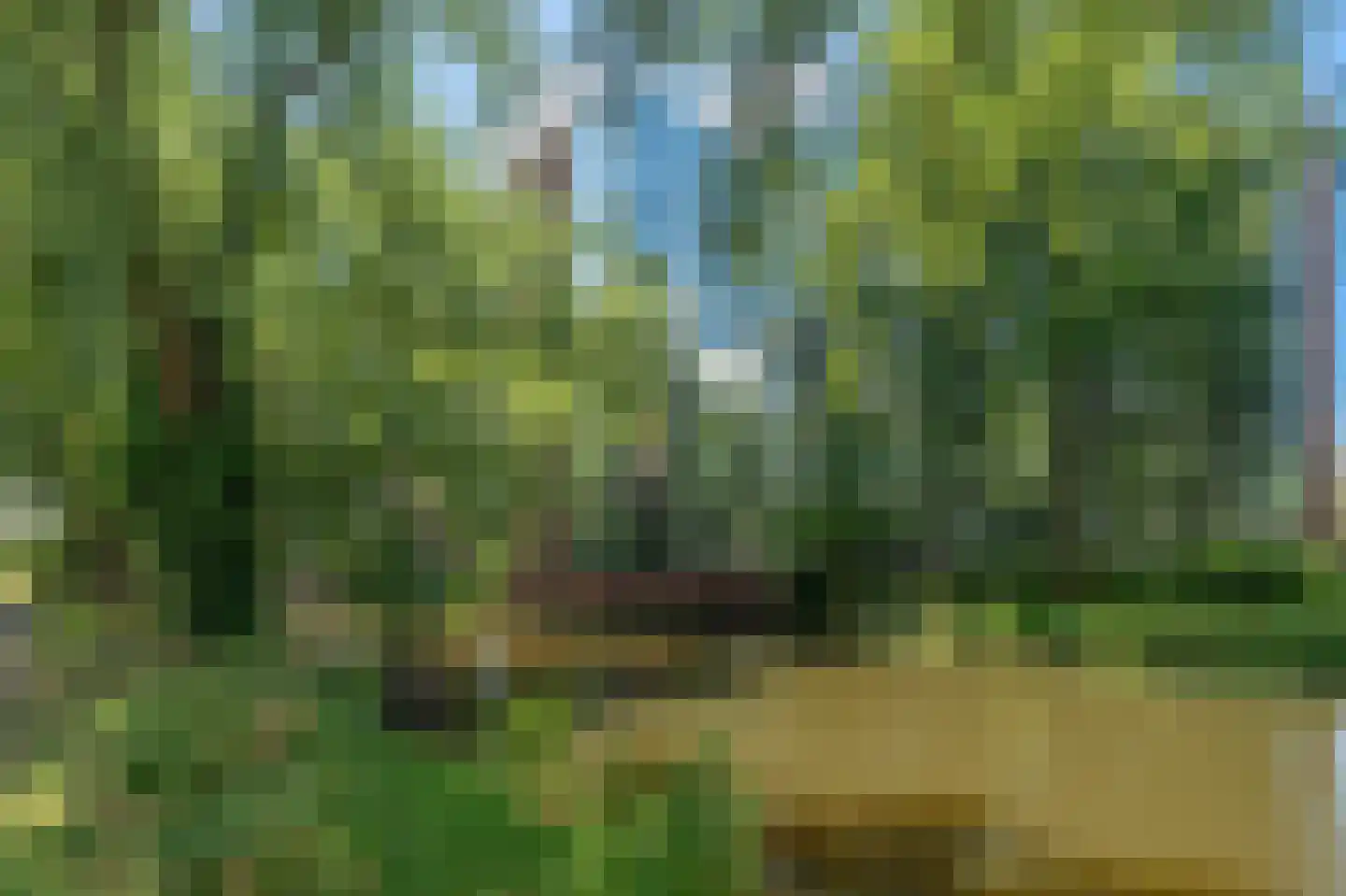 's-Gravenweg 675 C Rotterdam thumbnail 13
