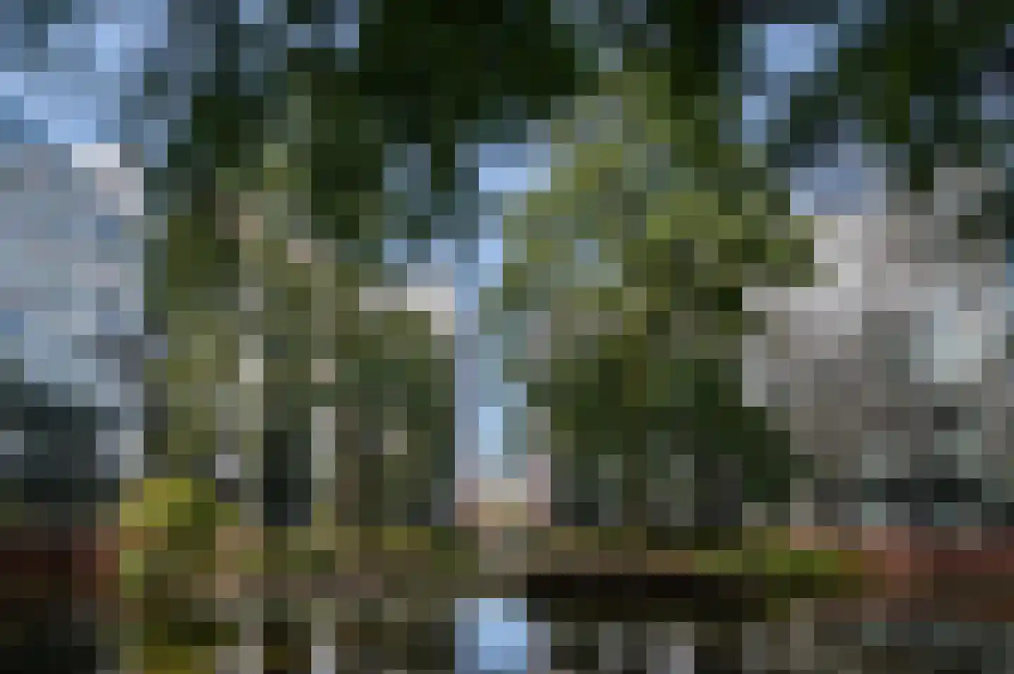 's-Gravenweg 681 C Rotterdam thumbnail 15