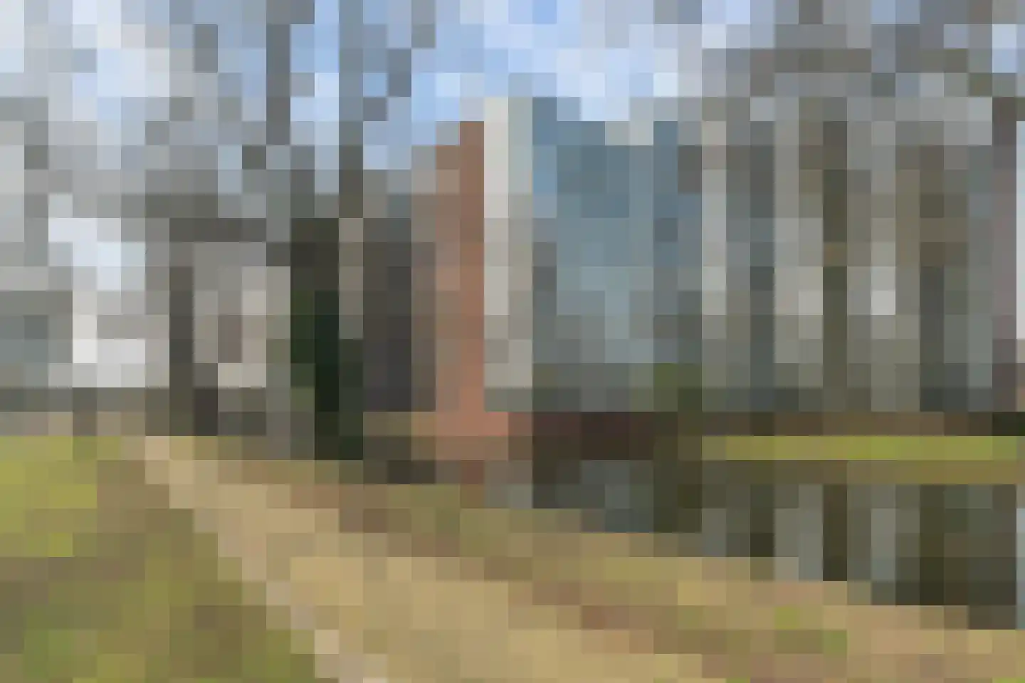 's-Gravenweg 683 F Rotterdam thumbnail 11