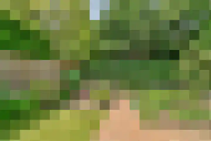 's-Gravenweg 696 Rotterdam thumbnail 12