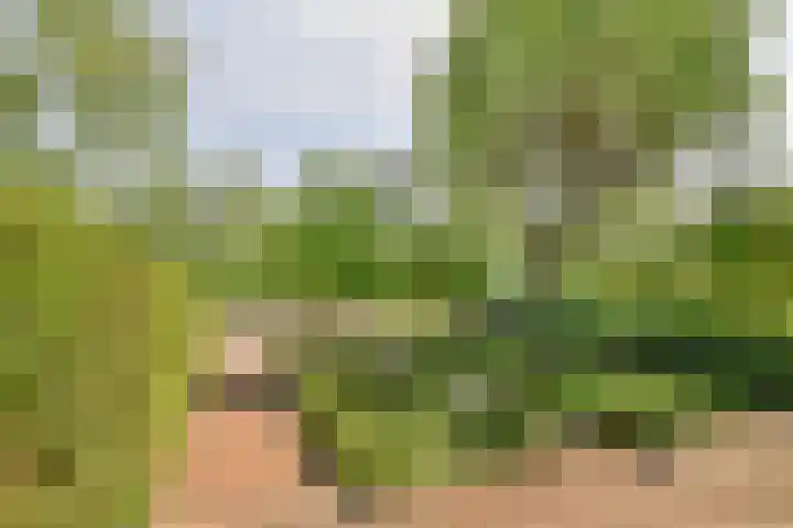 's-Gravenweg 696 Rotterdam thumbnail 13