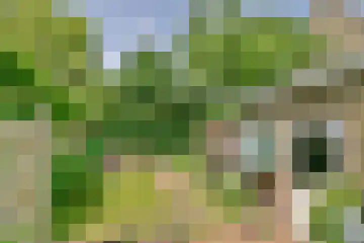 's-Gravenweg 696 Rotterdam thumbnail 14