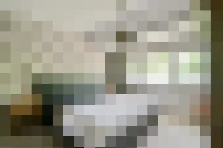 's-Gravenweg 696 Rotterdam thumbnail 18