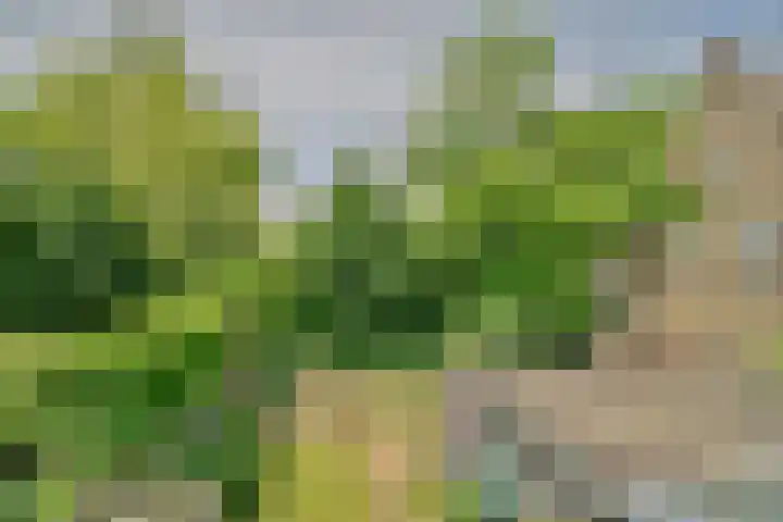 's-Gravenweg 696 Rotterdam thumbnail 21
