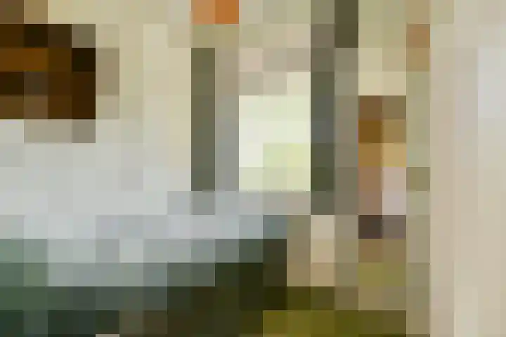 's-Gravenweg 696 Rotterdam thumbnail 22