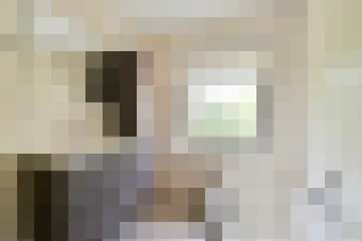 's-Gravenweg 696 Rotterdam thumbnail 23