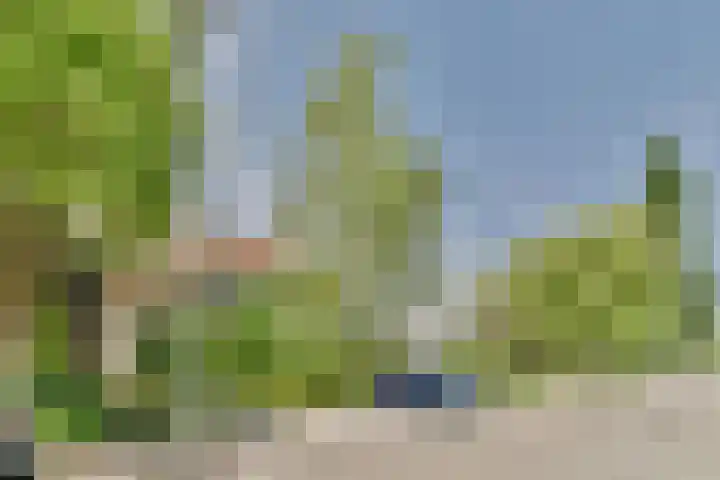 's-Gravenweg 696 Rotterdam thumbnail 28