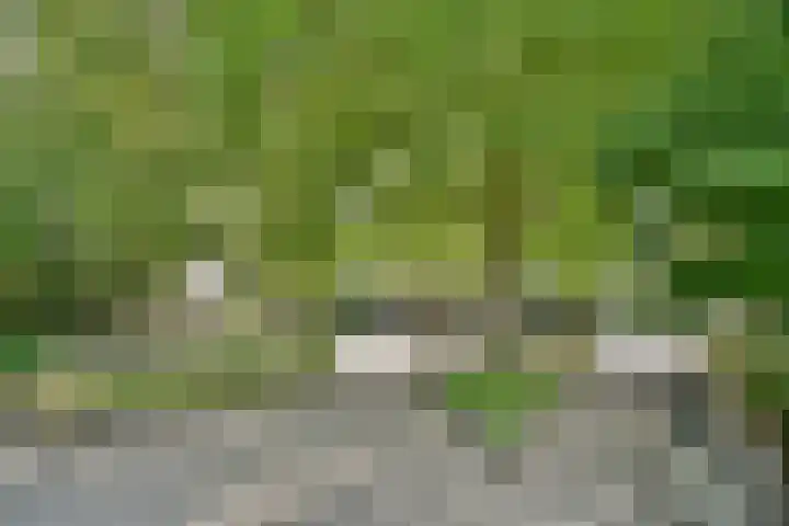 's-Gravenweg 696 Rotterdam thumbnail 29