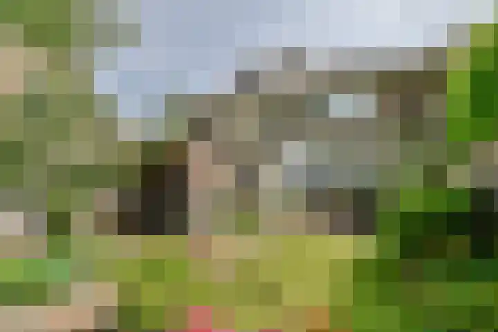 's-Gravenweg 696 Rotterdam thumbnail 4