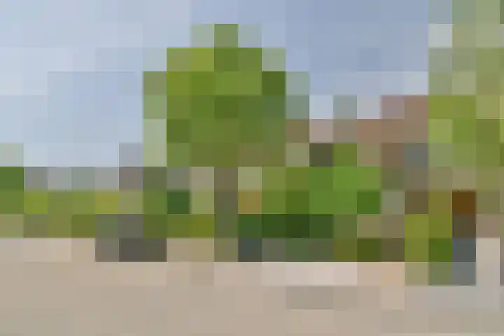 's-Gravenweg 696 Rotterdam thumbnail 5