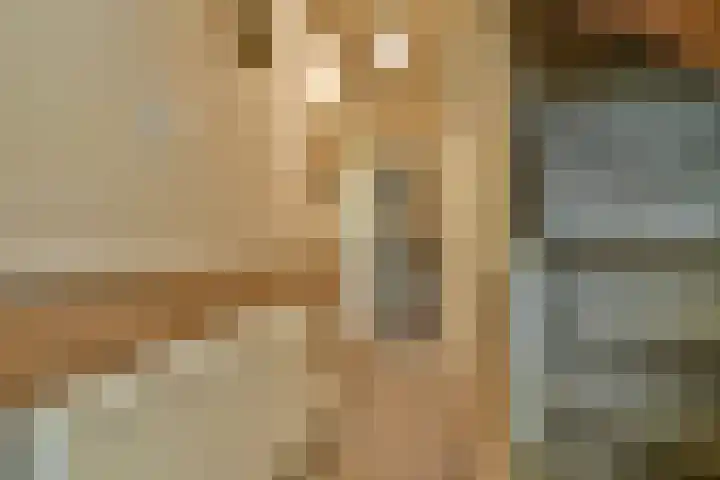 's-Gravenweg 696 Rotterdam thumbnail 7