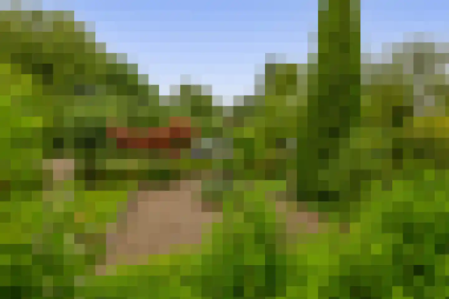 's-Gravenweg 70 Capelle aan den IJssel thumbnail 11