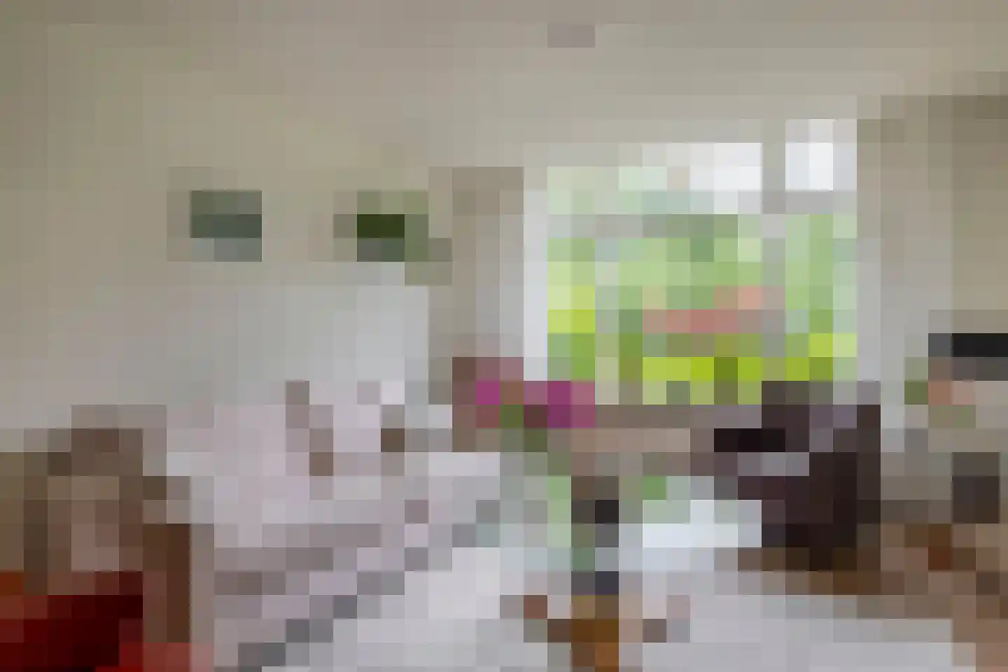 's-Gravenweg 70 Capelle aan den IJssel thumbnail 16