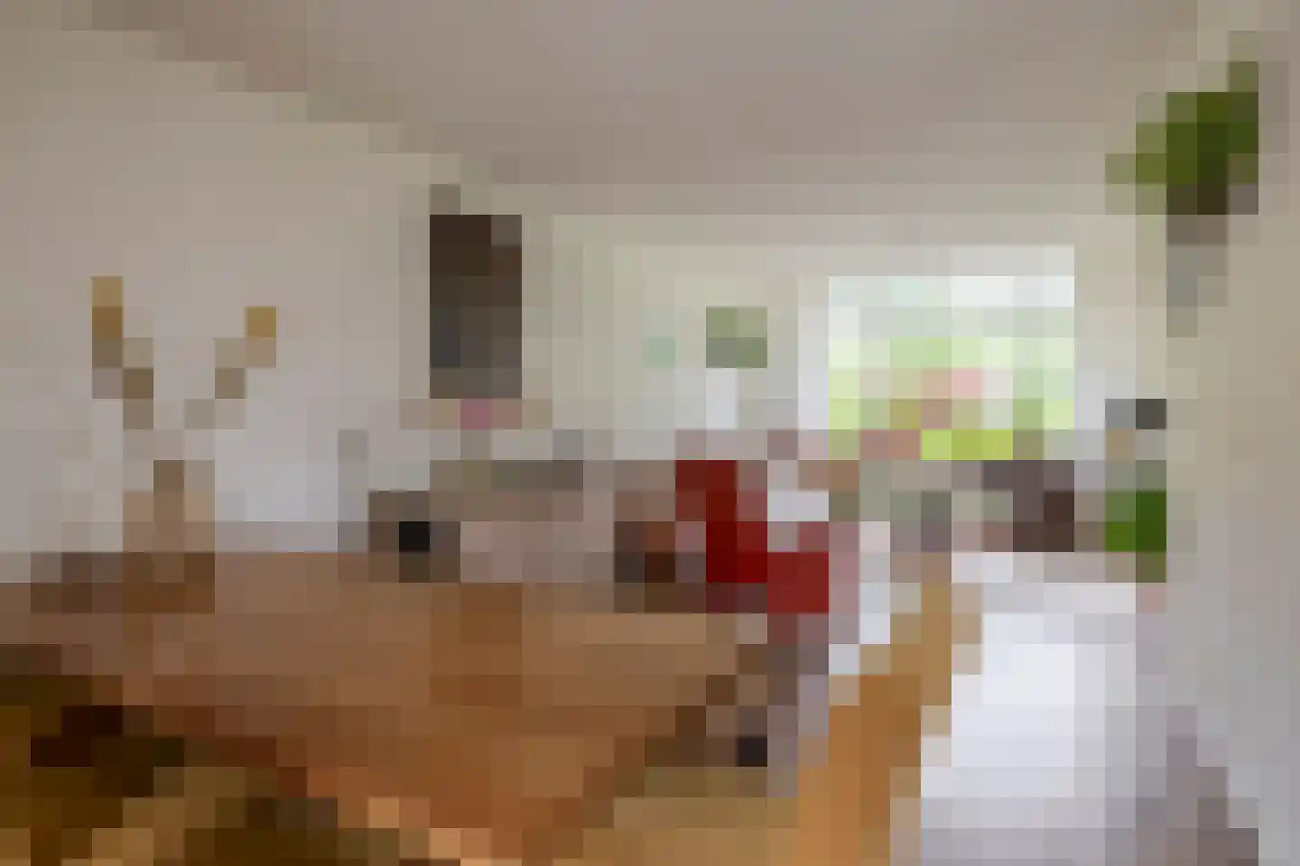 's-Gravenweg 70 Capelle aan den IJssel thumbnail 20