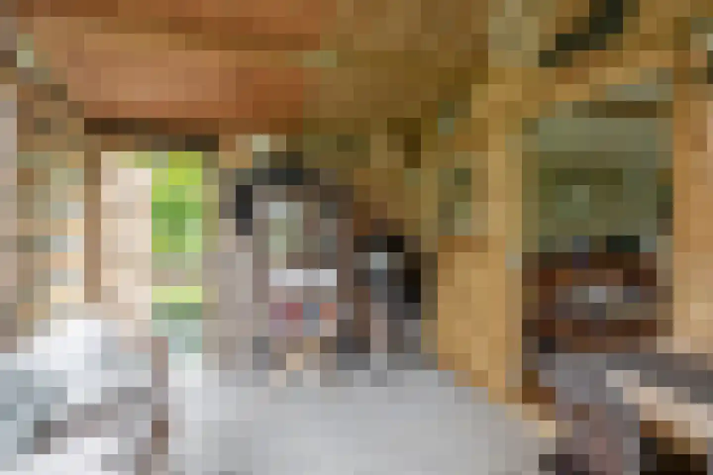 's-Gravenweg 70 Capelle aan den IJssel thumbnail 27