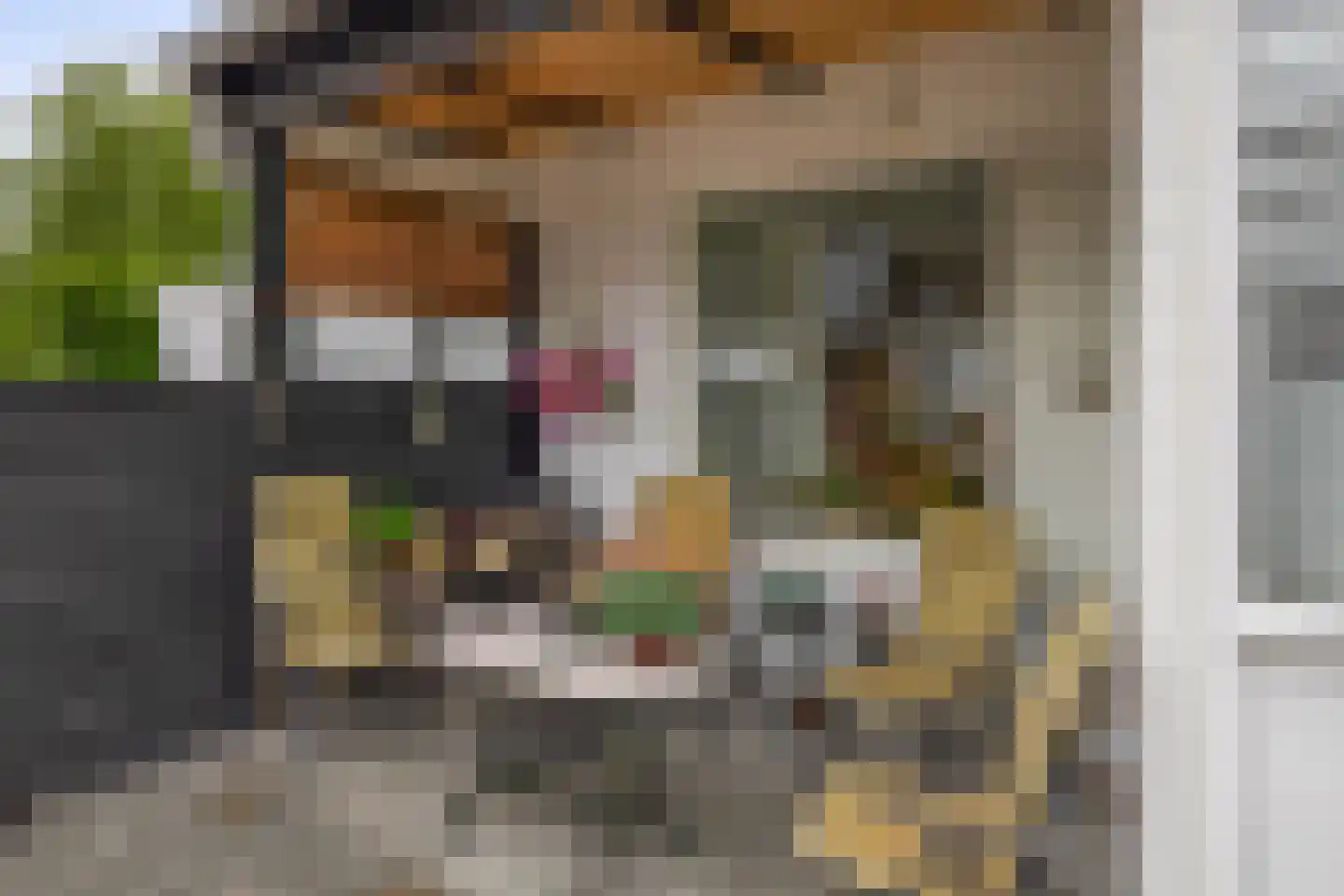 's-Gravenweg 70 Capelle aan den IJssel thumbnail 32