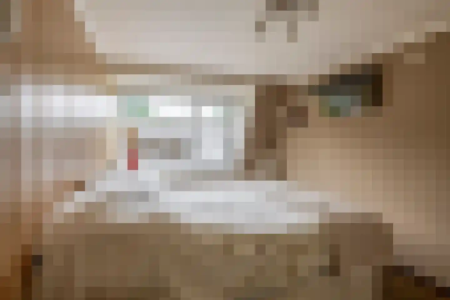 's-Gravenweg 70 Capelle aan den IJssel thumbnail 34