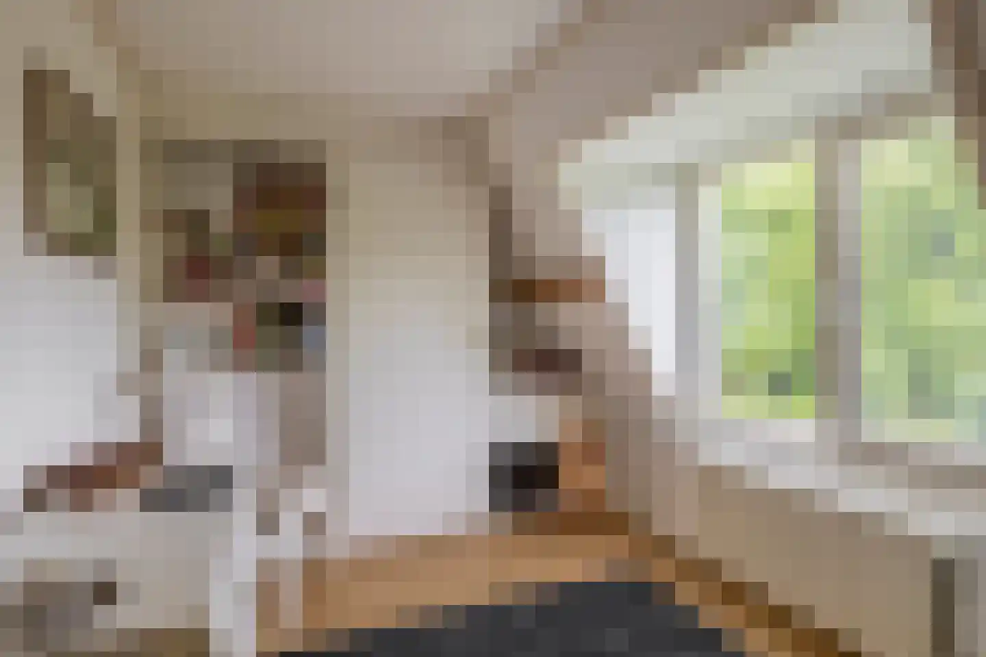 's-Gravenweg 70 Capelle aan den IJssel thumbnail 36