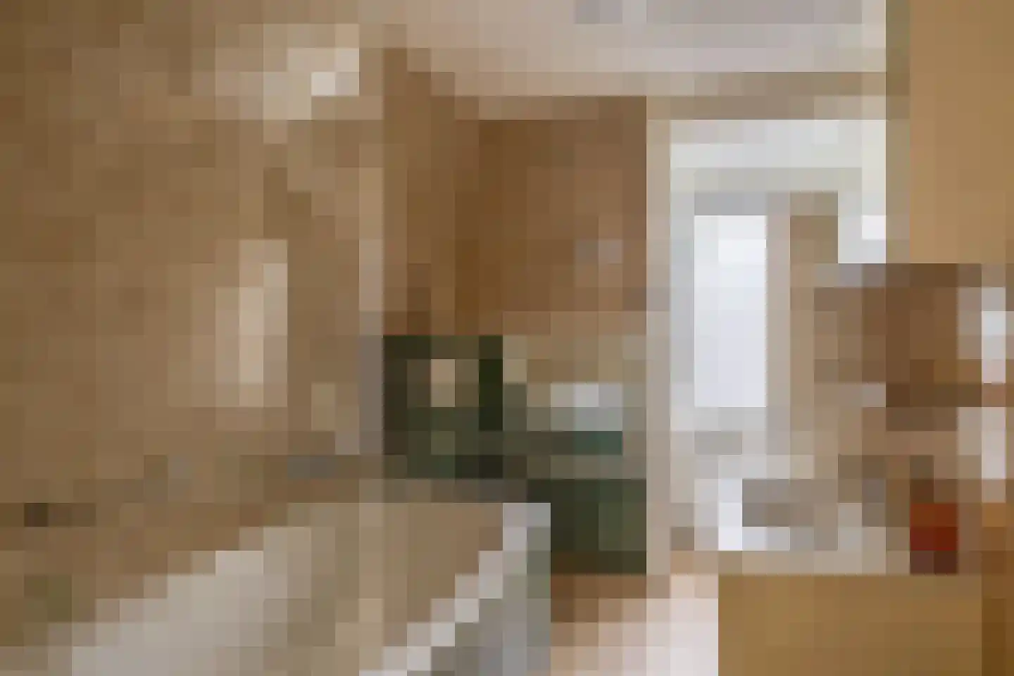 's-Gravenweg 70 Capelle aan den IJssel thumbnail 39