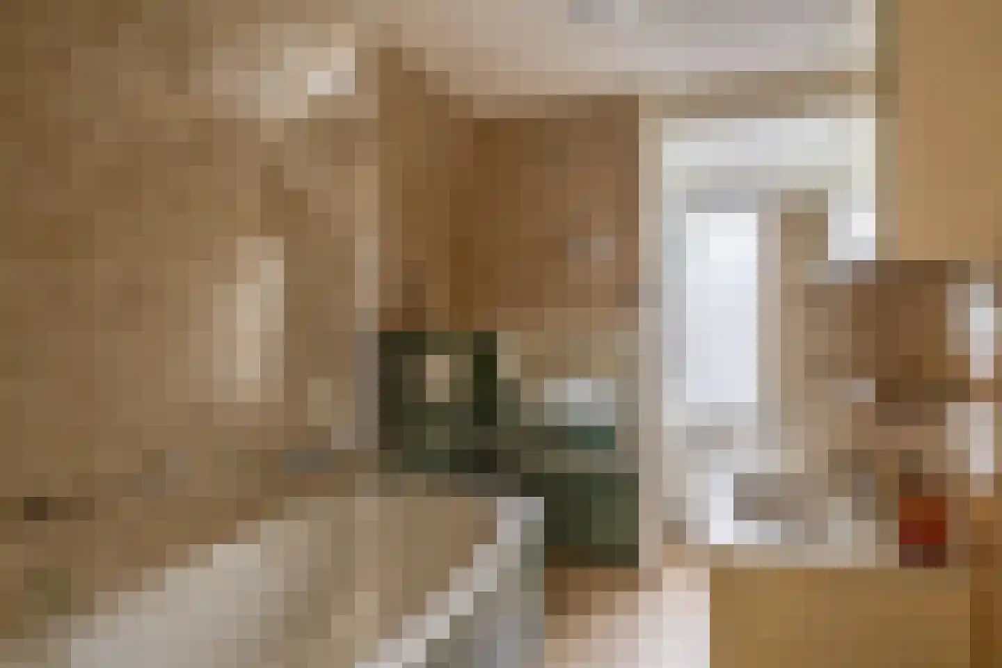 's-Gravenweg 70 Capelle aan den IJssel thumbnail 4