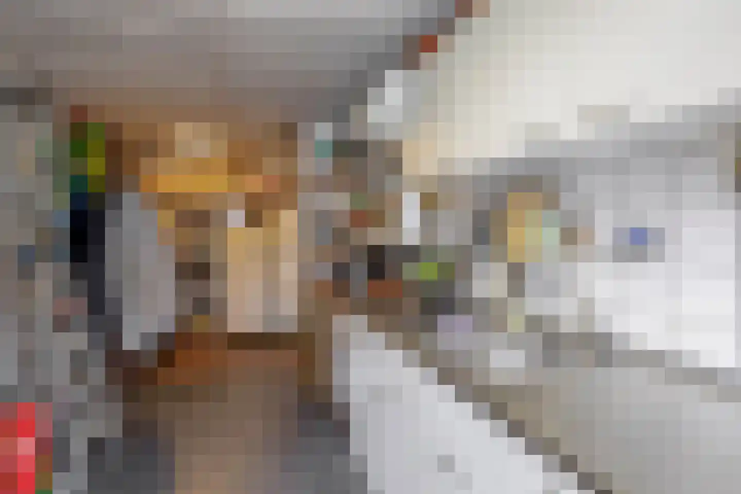 's-Gravenweg 70 Capelle aan den IJssel thumbnail 42
