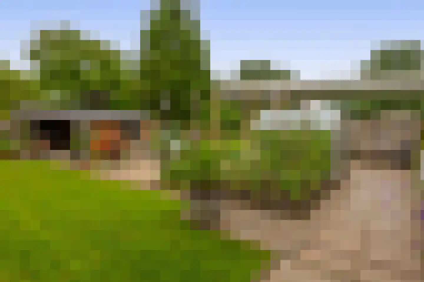 's-Gravenweg 70 Capelle aan den IJssel thumbnail 46